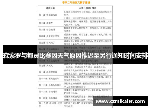 森索罗与都灵比赛因天气原因推迟至另行通知时间安排
