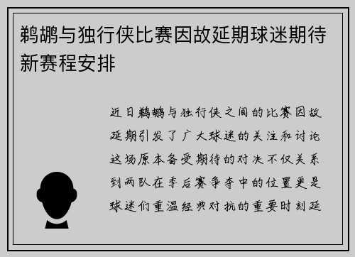 鹈鹕与独行侠比赛因故延期球迷期待新赛程安排